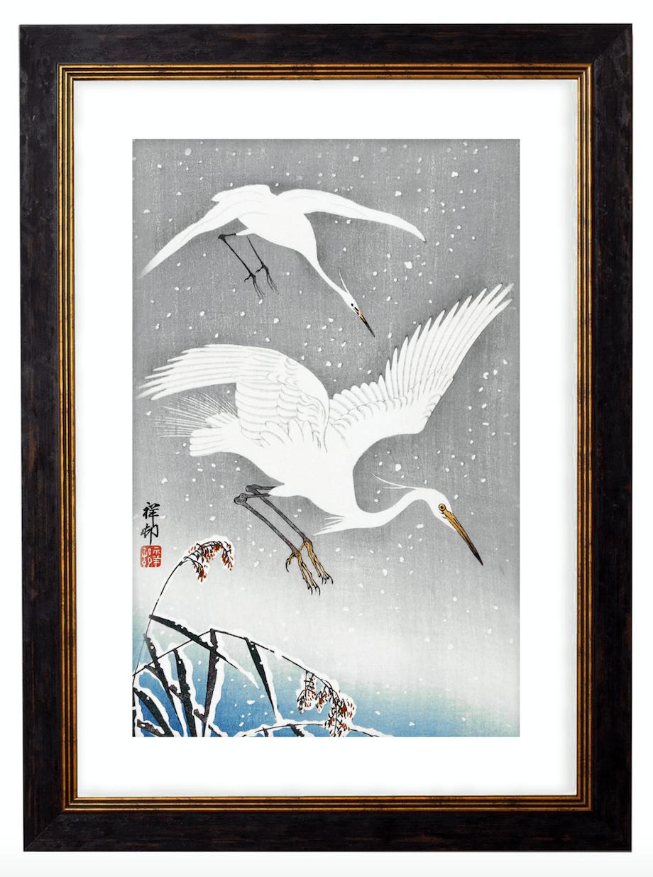Japanese Pair of White Flying Cranes, Print of Vintage Illustrated Japanese Birds- 1900s Artwork Print. Framed Wall Art PictureVintage Frog T/APictures & Prints