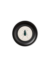 Load image into Gallery viewer, Mini Round Framed Collection of Beetle Prints - Referenced From 1835 IllustrationsVintage Frog T/APictures &amp; Prints

