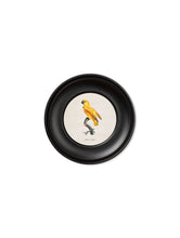 Load image into Gallery viewer, Mini Round Framed Collection of Parrot Prints - Referenced From 1800s IllustrationsVintage Frog T/APictures &amp; Prints
