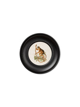Load image into Gallery viewer, Mini Round Framed Collection of Primate Prints - Referenced From 1910 IllustrationsVintage Frog T/APictures &amp; Prints
