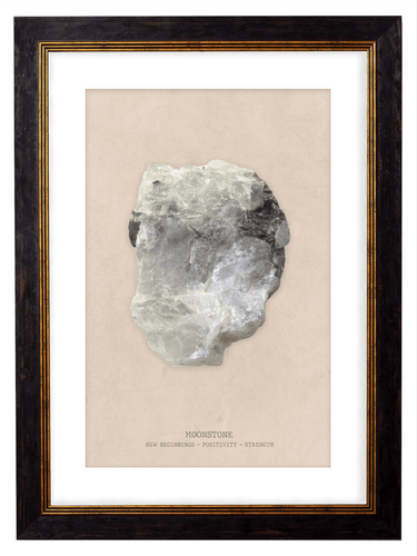 Moonstone Crystal Gemstone Artwork Print. Framed Healing Crystal Wall Art PictureVintage Frog T/APictures & Prints