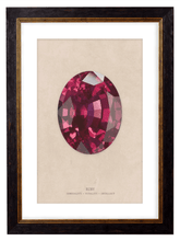 Load image into Gallery viewer, Ruby Crystal Gemstone Artwork Print. Framed Healing Crystal Wall Art PictureVintage Frog T/APictures &amp; Prints
