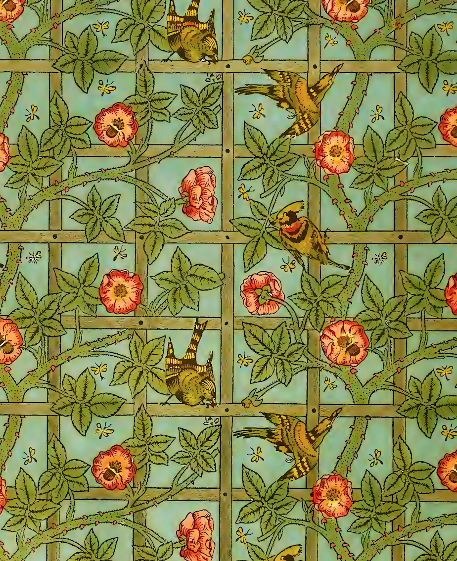Trellis - William Morris Pattern Artwork Print. Framed Wall Art PictureVintage Frog T/APictures & Prints