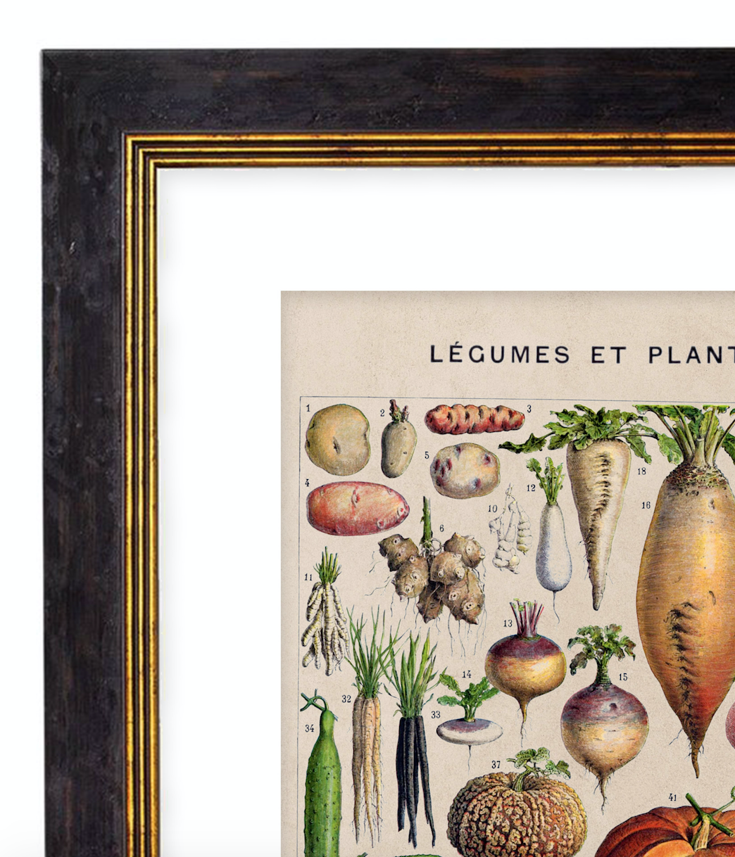 Vegetables, Classic Vintage Vegetable Illustrated Chart by Adolphe Millot - 1900s Artwork Print. Framed Wall Art PictureVintage Frog T/APictures & Prints