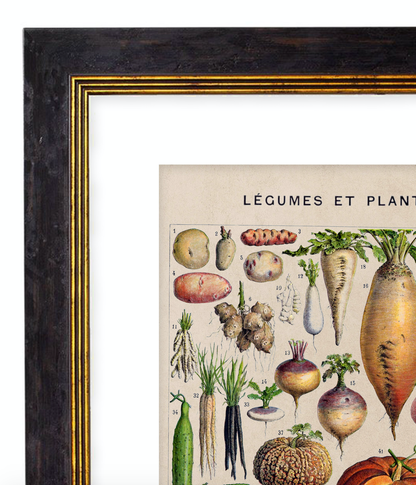 Vegetables, Classic Vintage Vegetable Illustrated Chart by Adolphe Millot - 1900s Artwork Print. Framed Wall Art PictureVintage Frog T/APictures & Prints